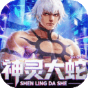 拳魂觉醒-0.1折终极之战